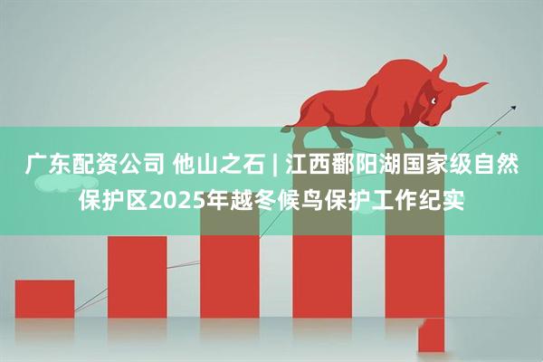 广东配资公司 他山之石 | 江西鄱阳湖国家级自然保护区2025年越冬候鸟保护工作纪实