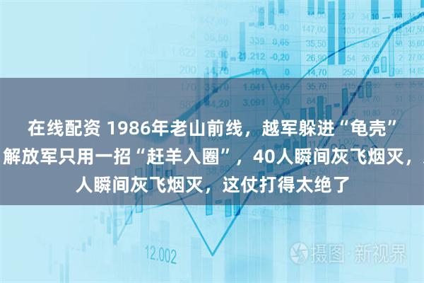 在线配资 1986年老山前线，越军躲进“龟壳”以为万事大吉，解放军只用一招“赶羊入圈”，40人瞬间灰飞烟灭，这仗打得太绝了
