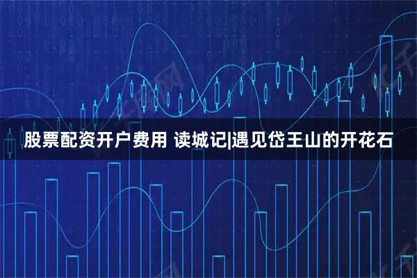 股票配资开户费用 读城记|遇见岱王山的开花石