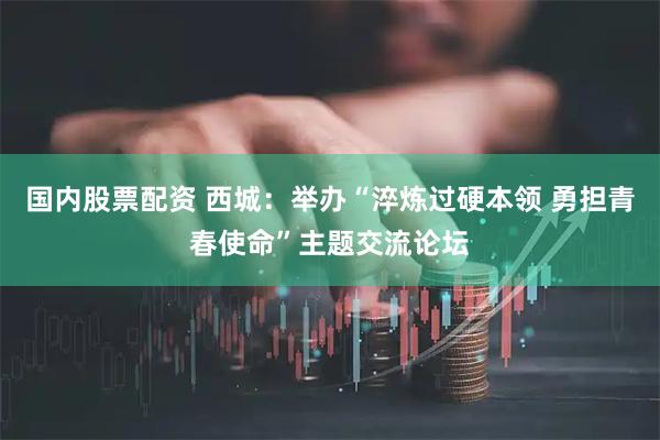 国内股票配资 西城：举办“淬炼过硬本领 勇担青春使命”主题交流论坛